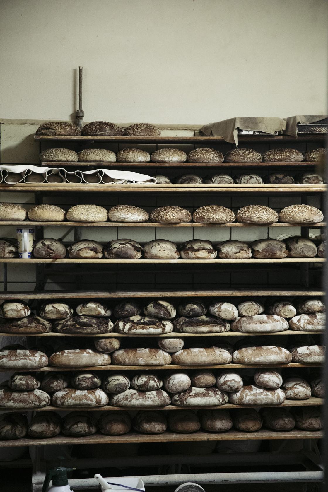 Volle Brotregale der Bäckerei Siebert: Regal über Regal mit verschiedenen Brotsorten, frisch gebacken